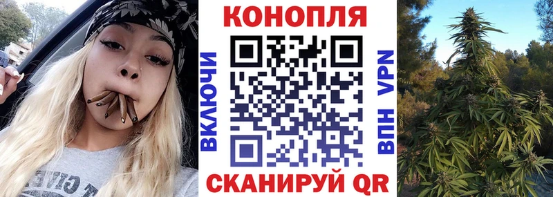 Где купить Олонец Метадон  Alpha PVP  Меф мяу мяу  блэк спрут зеркало  Конопля  Кокаин  Гашиш 