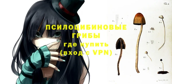 гашик Алексеевка